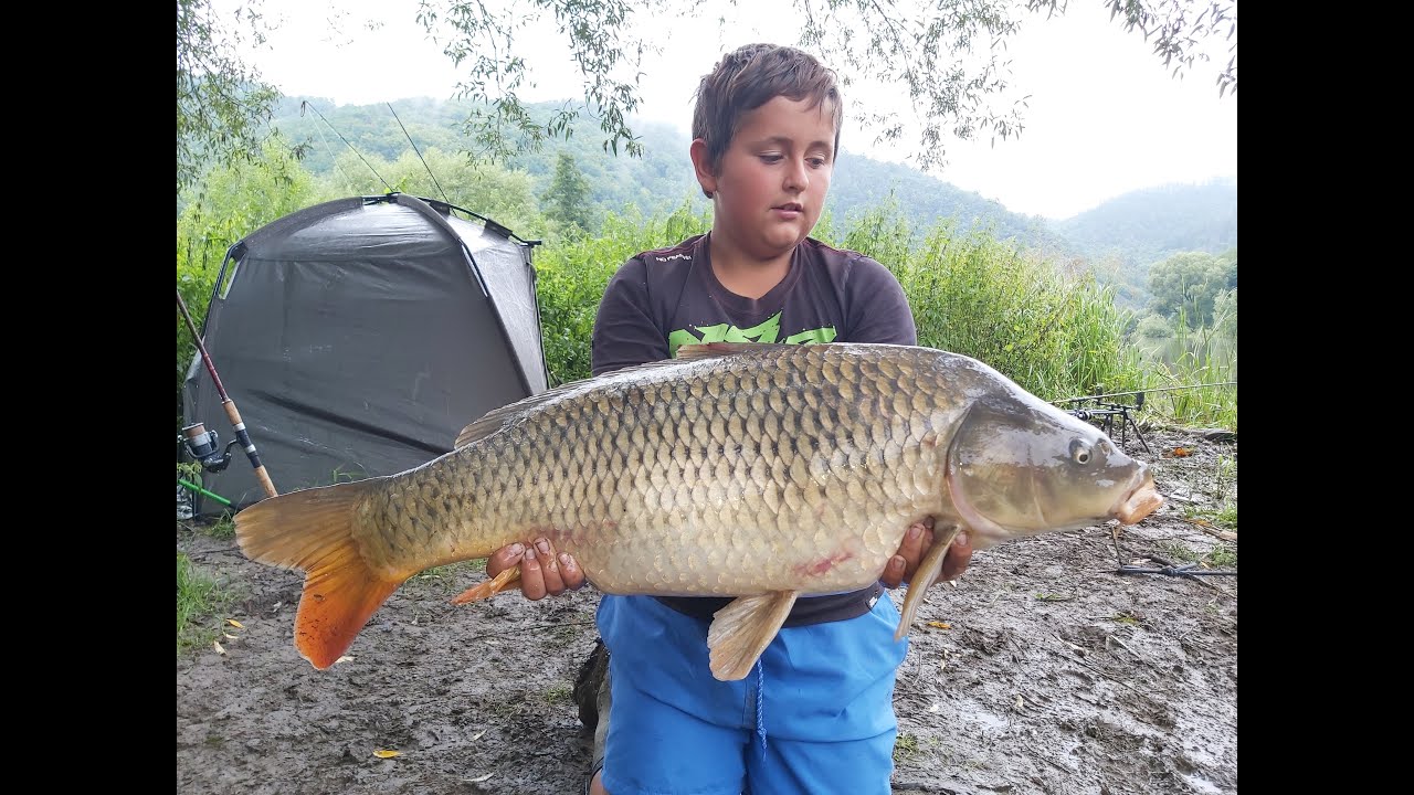 Kapři z Berounky...Totální masakr