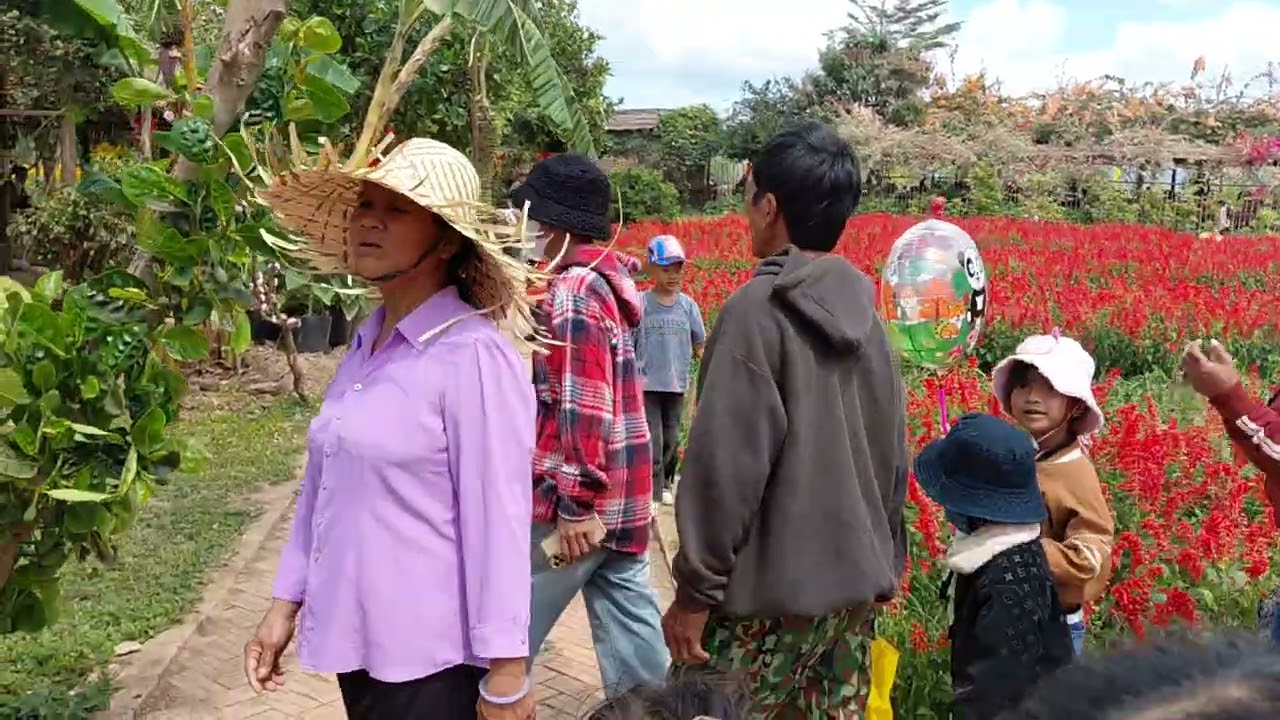 Phố Buồn Đi chơi bờ kè