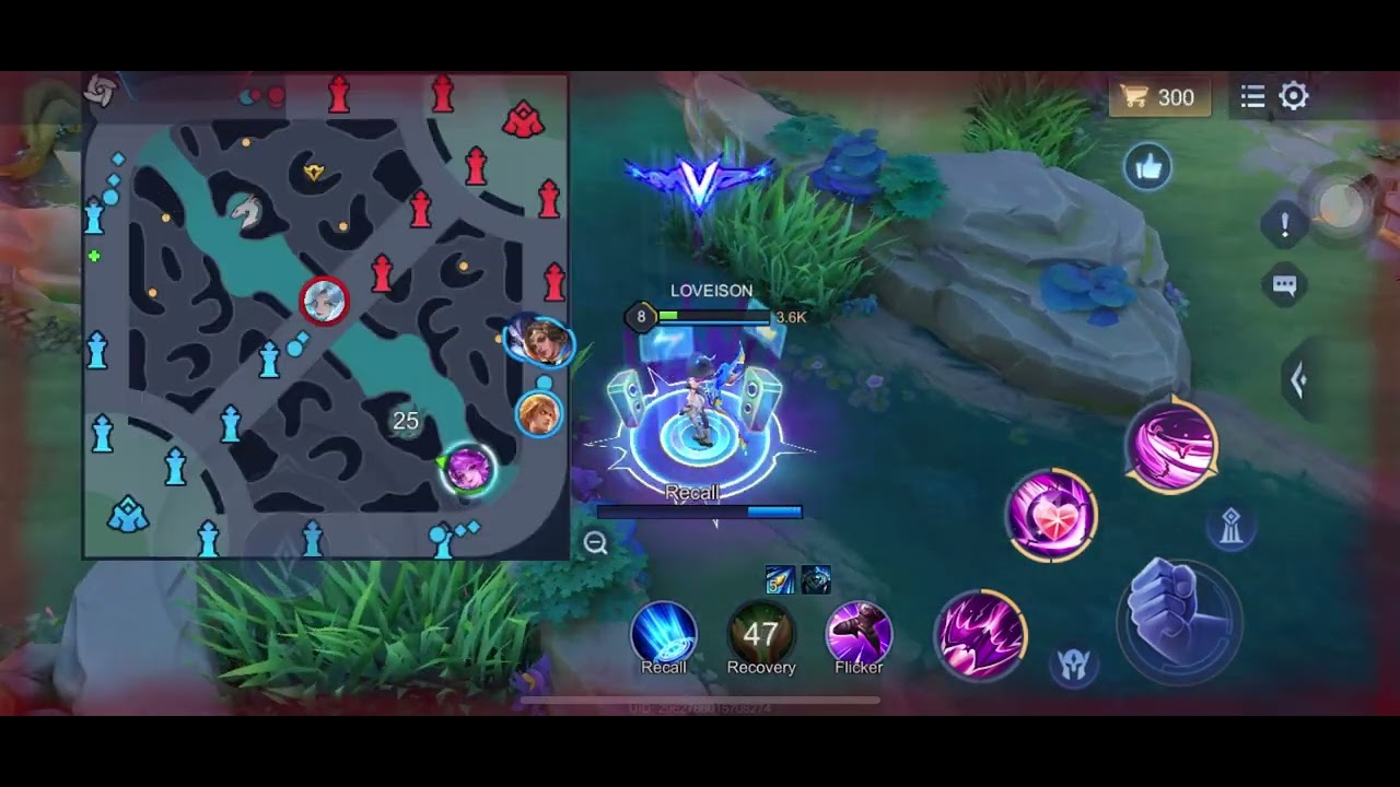 RoV : วีร่าสายจู๊ก 