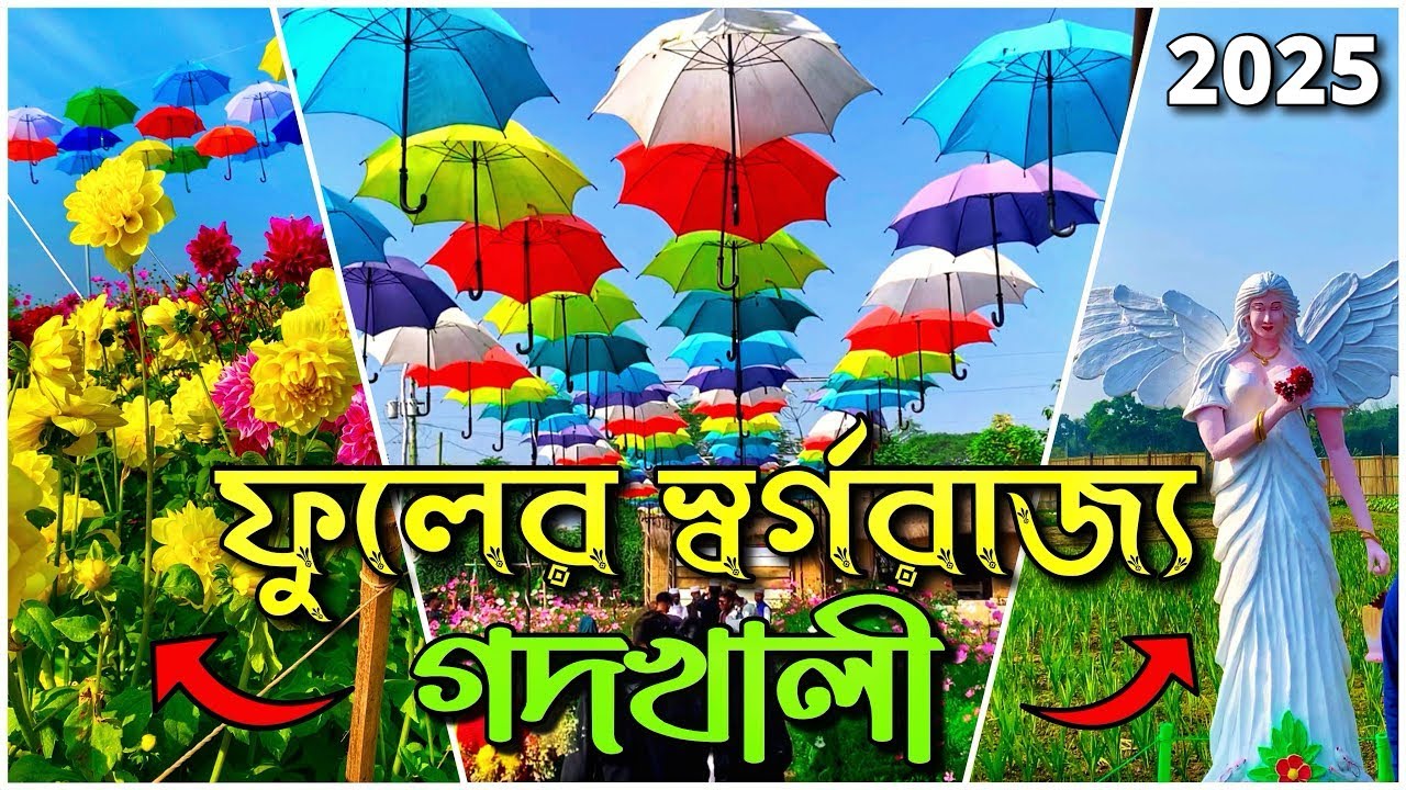 গদখালী | ফুলের রাজধানী গদখালী 2024 ll Godkhali Biggest Flower Garden Jessore