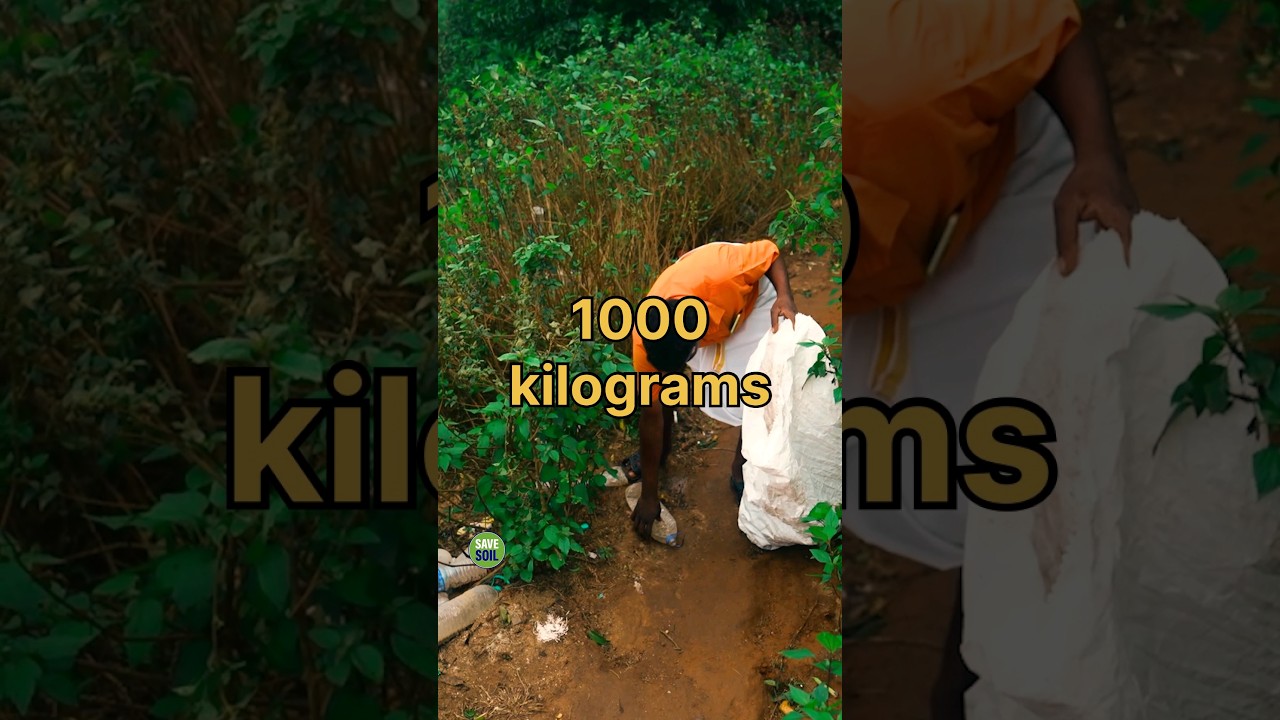 A Massive Clean-up Drive on the Velliangiri Mountains