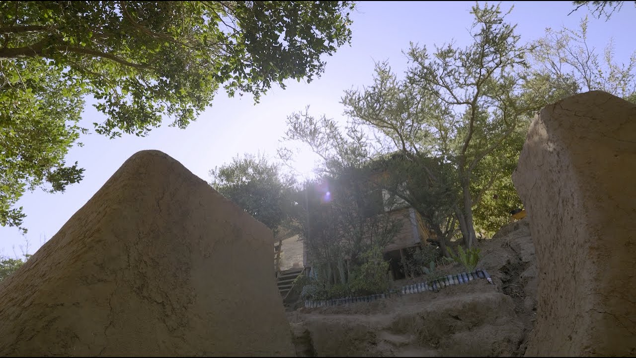 Jungle Trails