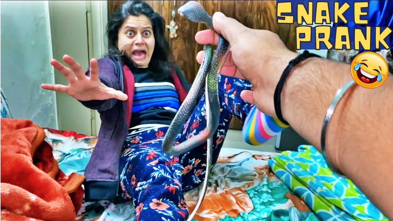 SNAKE PRANK on FAMILY! (FUNNIEST REACTIONS)