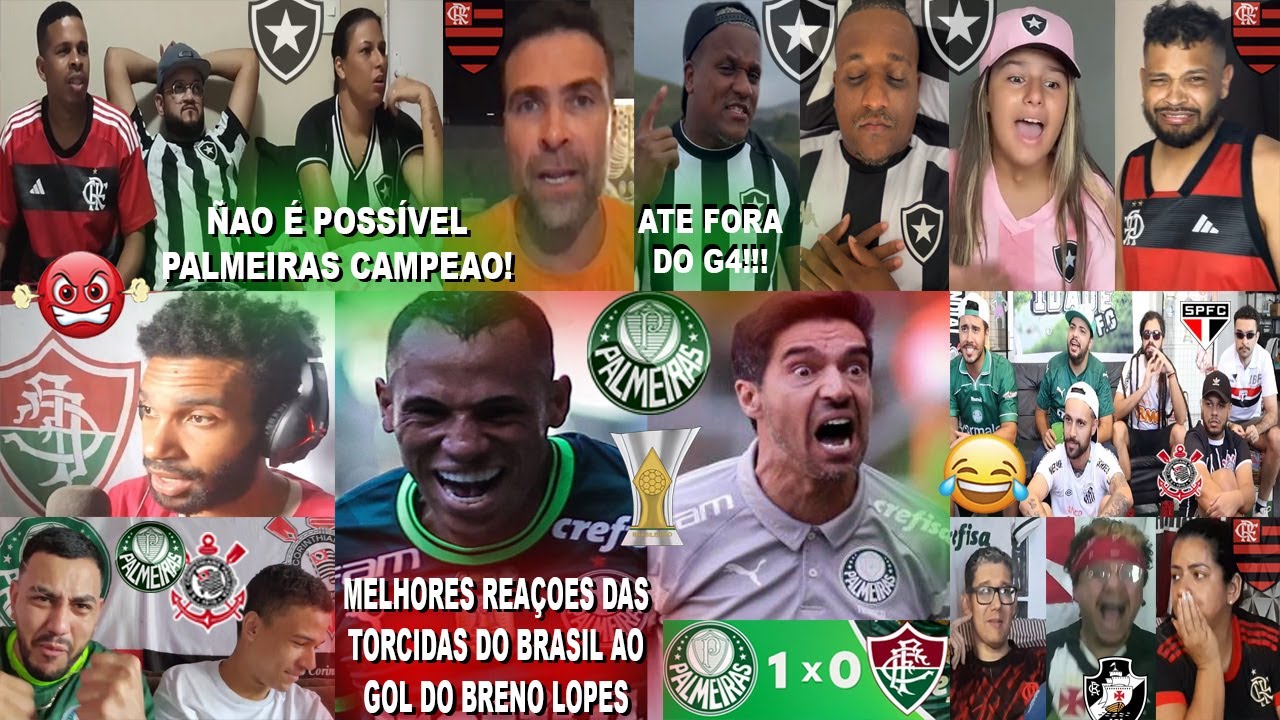 TORCIDAS DO BRASIL ANTES E DEPOIS DO PALMEIRAS 1X0 FLUMINENSE COM GOL DO BRENO LOPES - JÁ É CAMPEAO