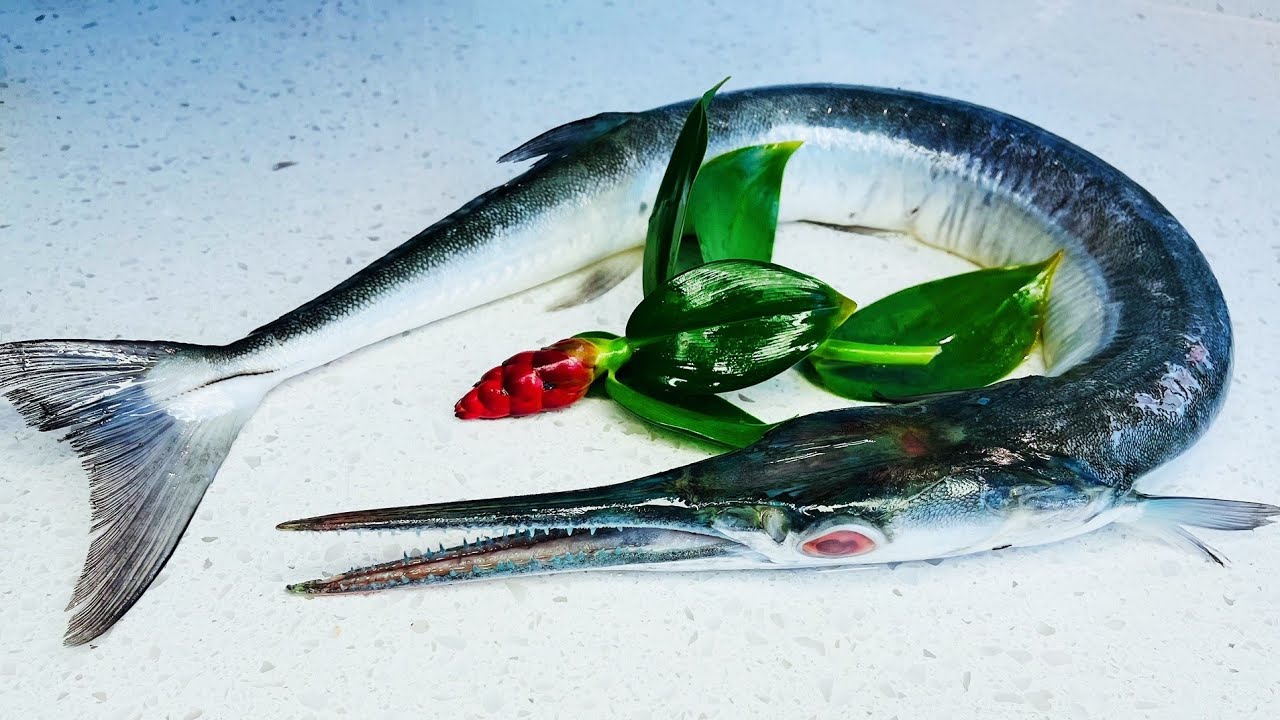 Needlefish ？  How to cook ?  针鱼 ？鹤嘴鱼？