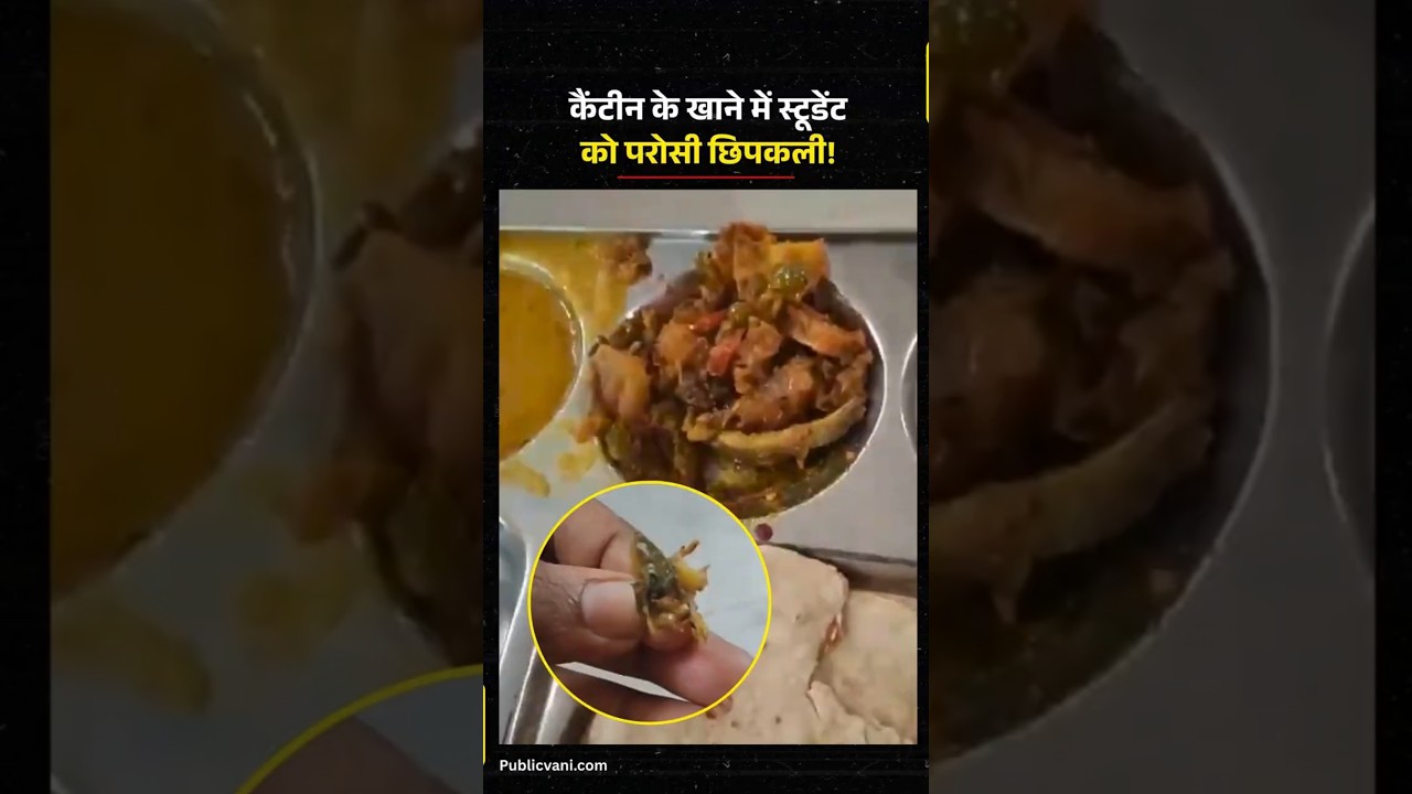 RGPV के खाने में छिपकली, कर्मचारी ने बताया शिमला मिर्च | Bhopal News