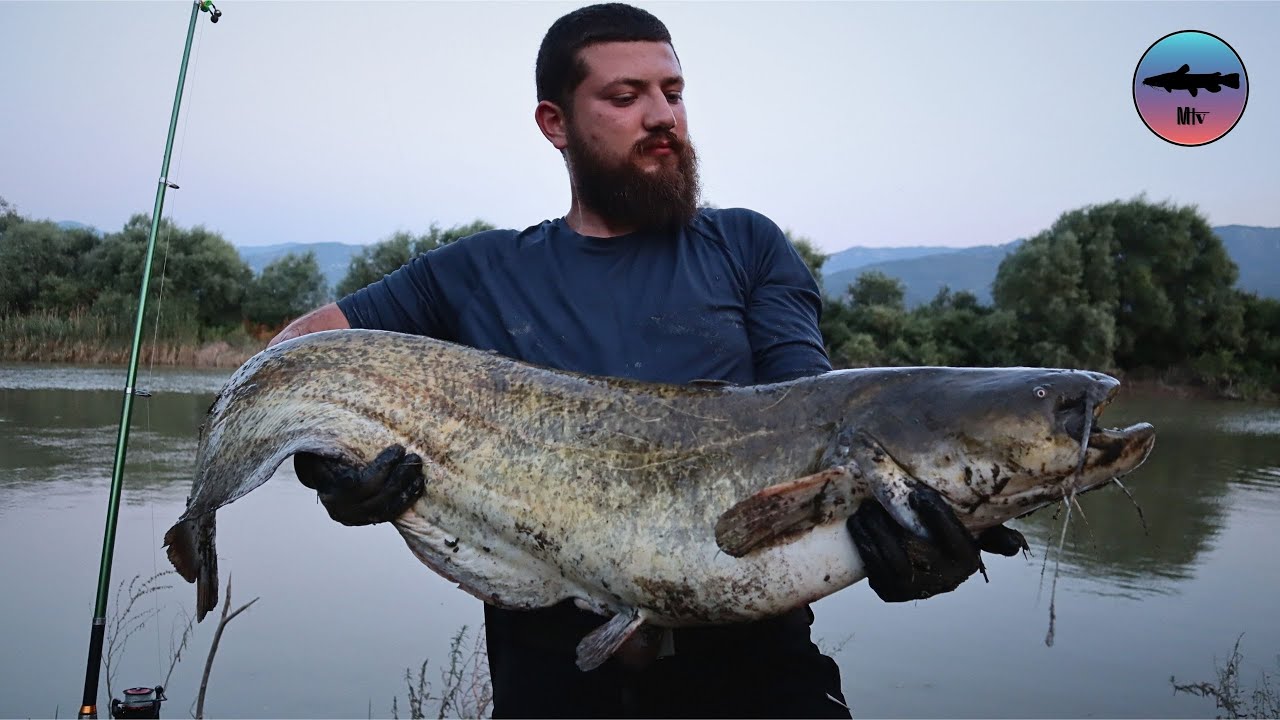 Sakarya Nehri Balık Avı | Yayın Avı