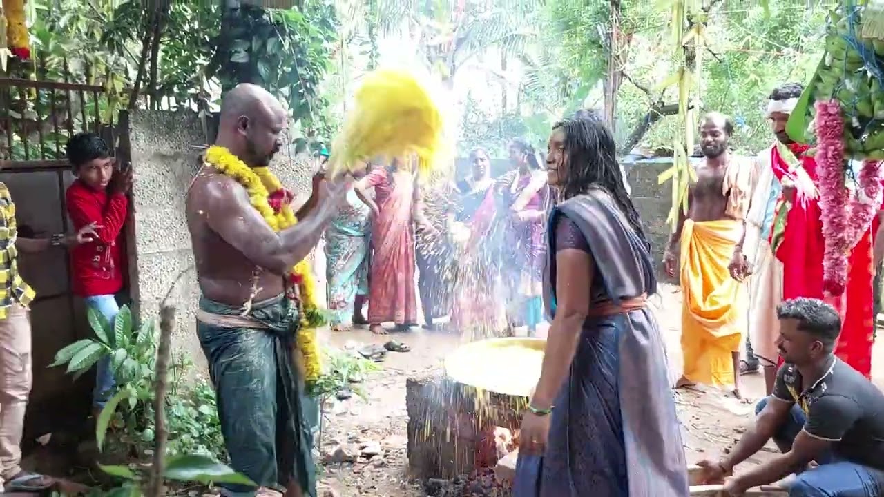 மஞ்சள் நீராடும் சுவாமிகள் நீர்வகுழி சரண்யா வில்லிசை