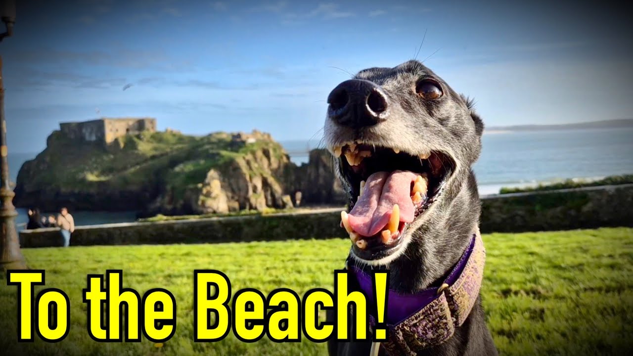 Road Trip of Wales in a Stealth Micro Camper - Part 3