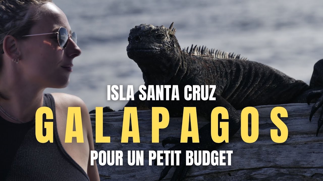 #21 VISITER LES GALAPAGOS avec un petit budget !! [Vlog isla santa cruz]