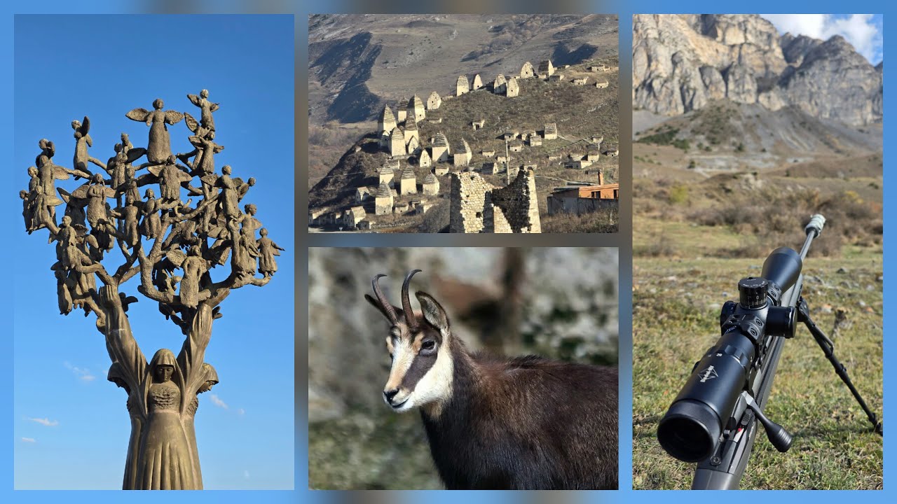 Охота на кавказскую серну / Hunting for Caucasian chamois