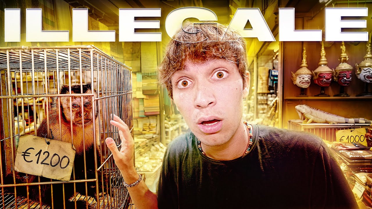 VENDONO SCIMMIE VIVE: dentro il mercato di animali illegali di Bangkok. 🇹🇭