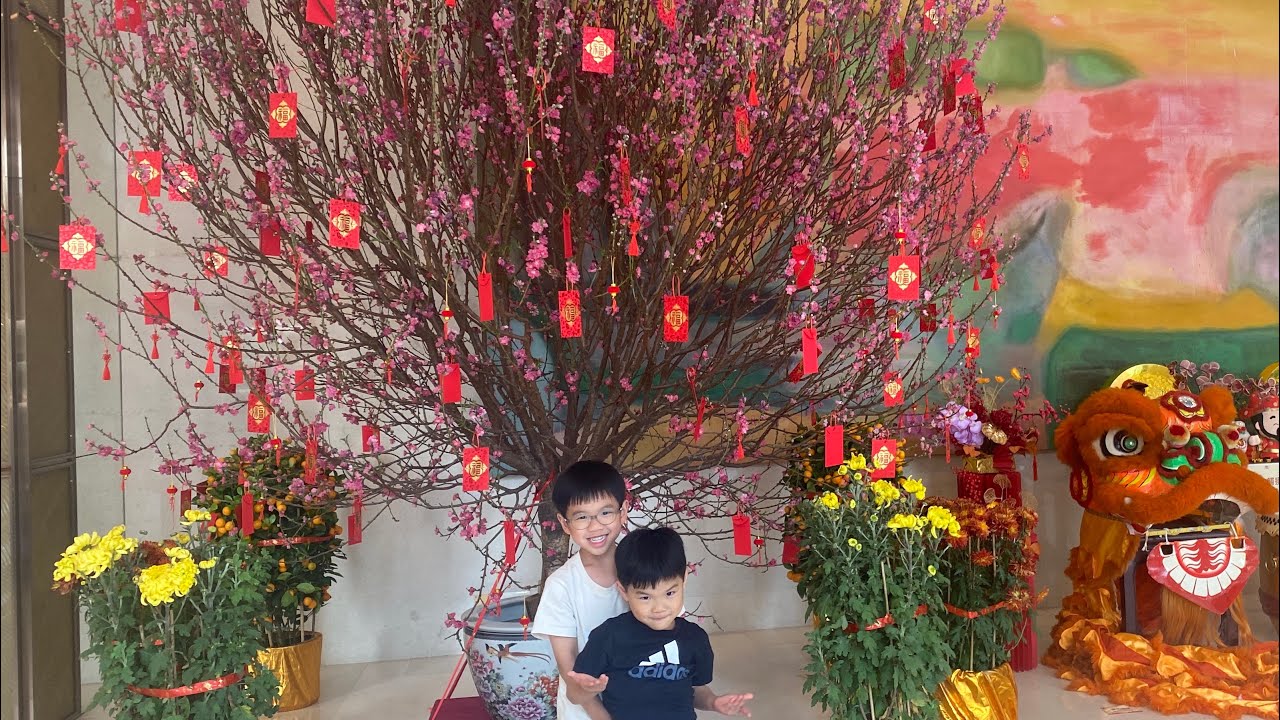 Monthly Vlog｜親子好去處❤️Feb ‘26 將軍澳海濱公園。行年宵。寶康公園*Jasss1920