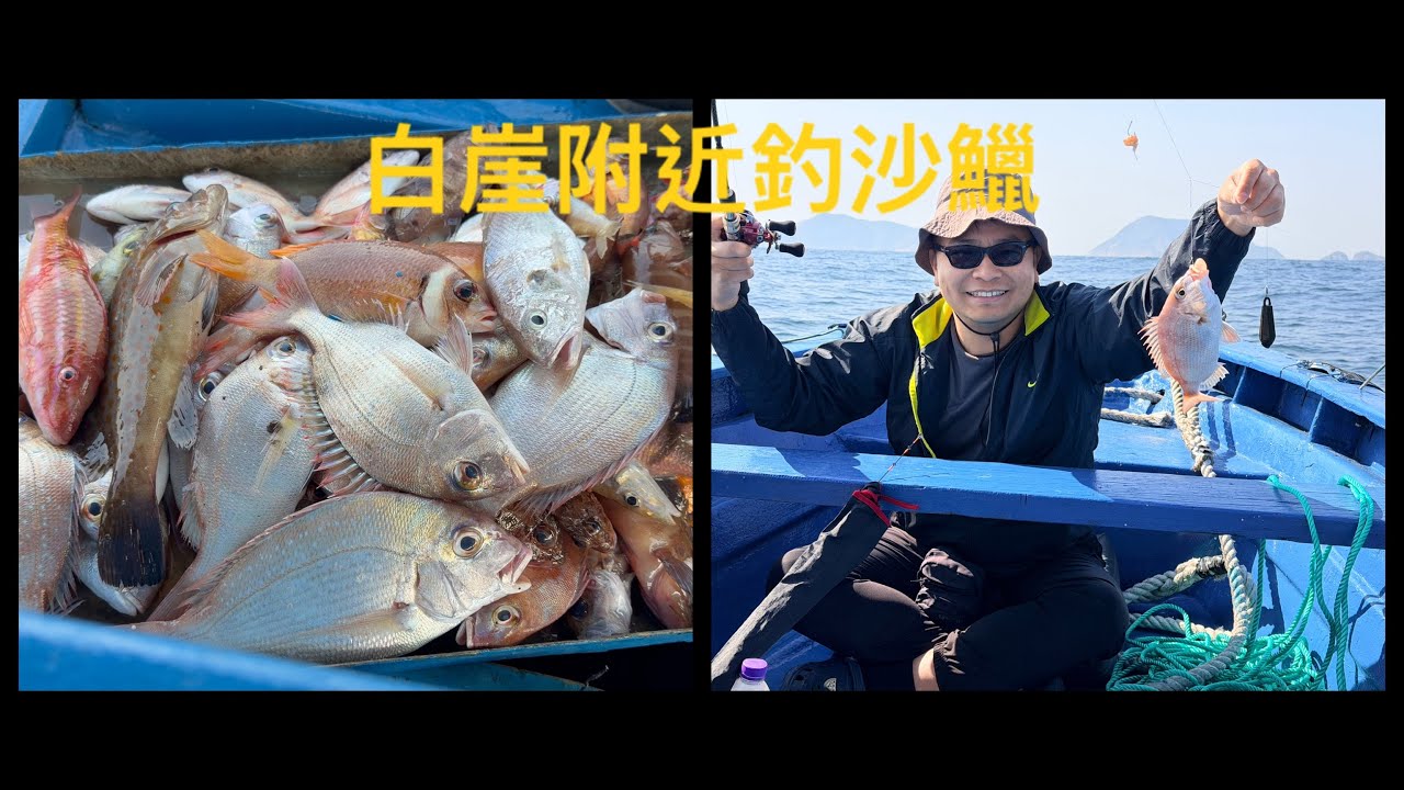 東龍島￼白崖￼釣￼沙鱲仔