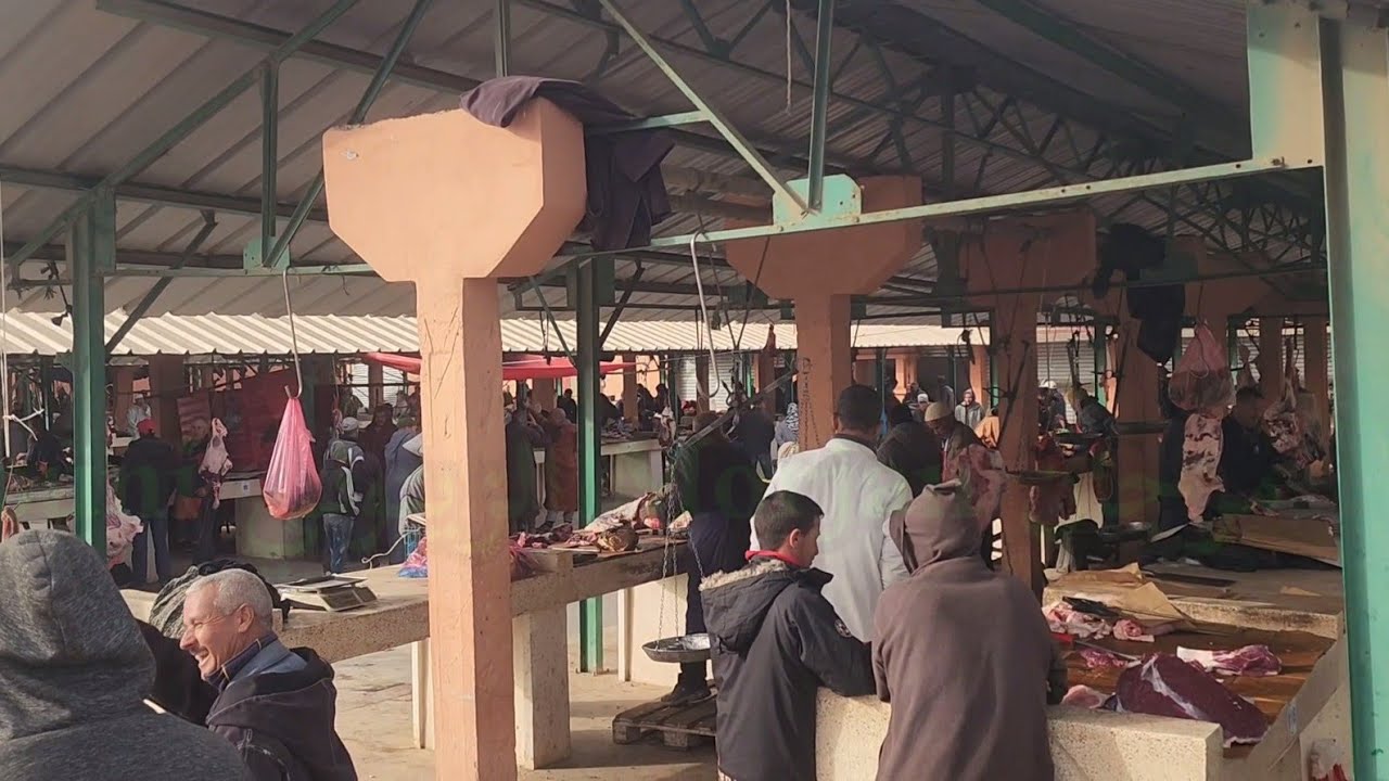 مباشرة من سوق الأسبوعي جمعة كيسر مع تمن اللحوم الحمراء 🇲🇦