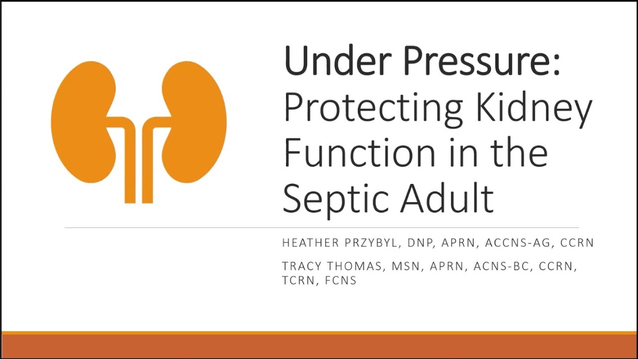 Under Pressure: Protecting Kidney Function in the Septic Adult