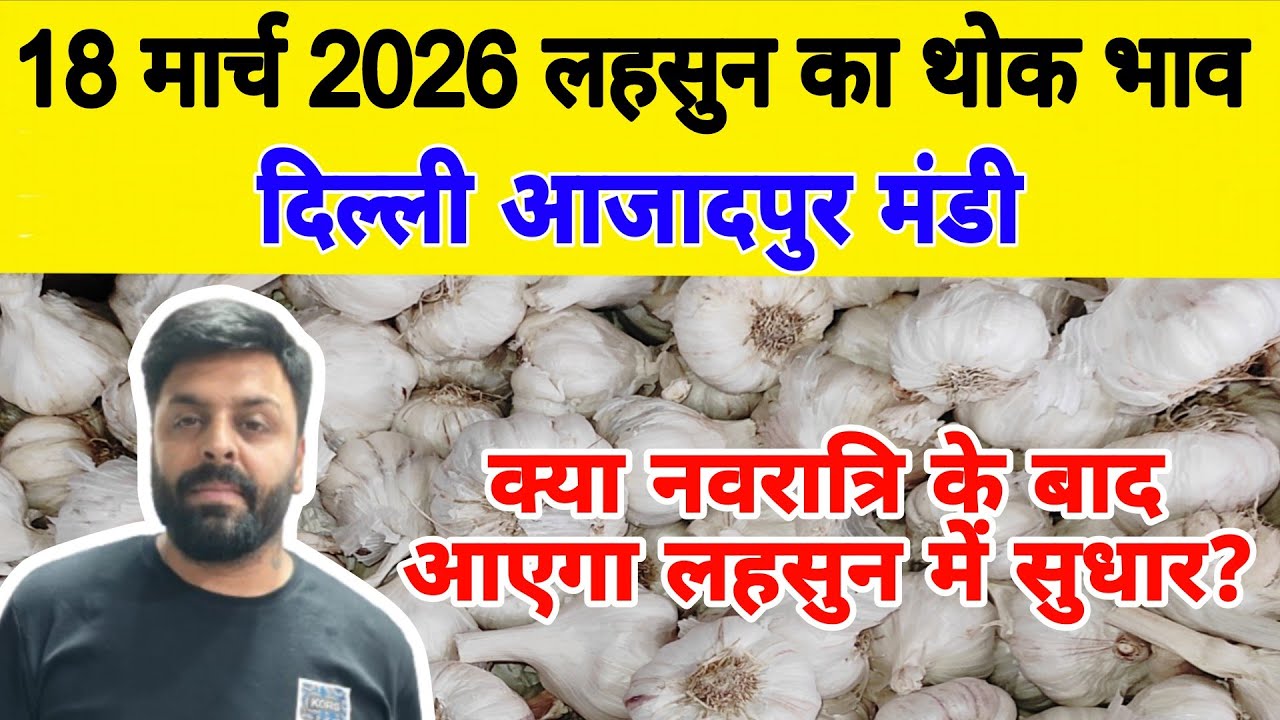 18 March 2026 | Today Garlic Market Price | Garlic Price The Shocking Prediction #mandirates