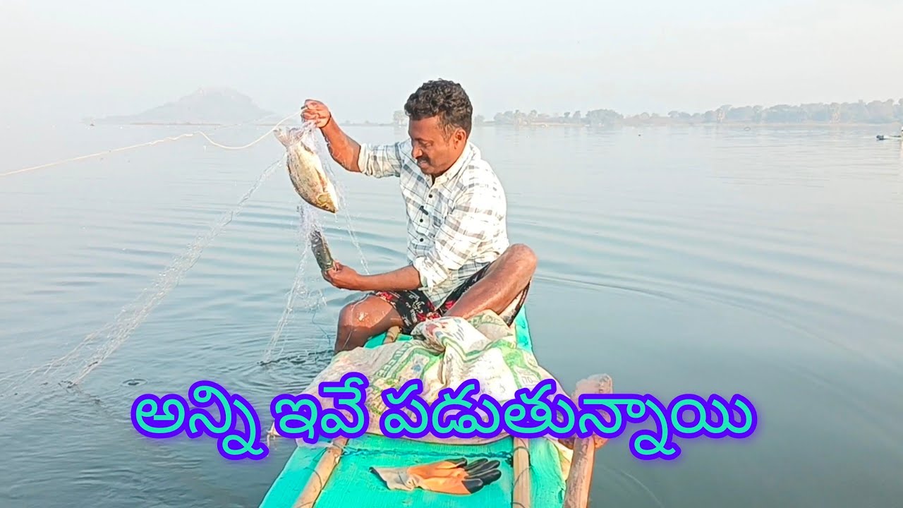 అన్ని ఇవే పడుతున్నాయి🐟 Yatala shankar vlaogs యాటల శంకర్ ఫిషింగ్ వీడియో 🐬