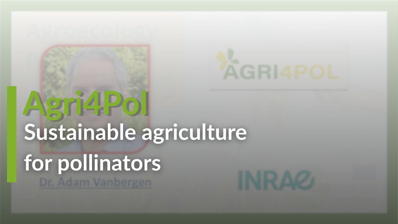 🦋Agri4Pol: Promoting sustainable agriculture for pollinators.🌍 #pollinators #farming #agriculture