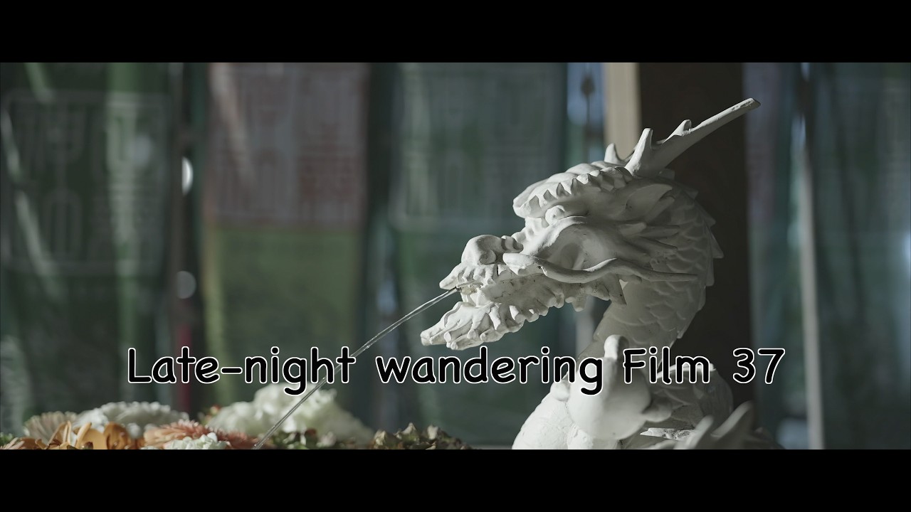 Late-night wandering Film 37