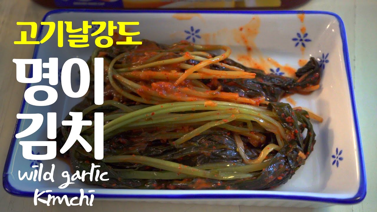 독일유학생요리 / 최애! 존맛! 명이김치 담그기 / 산마늘 곰파김치 Bärlauch Kimchi / wild garlic kimchi