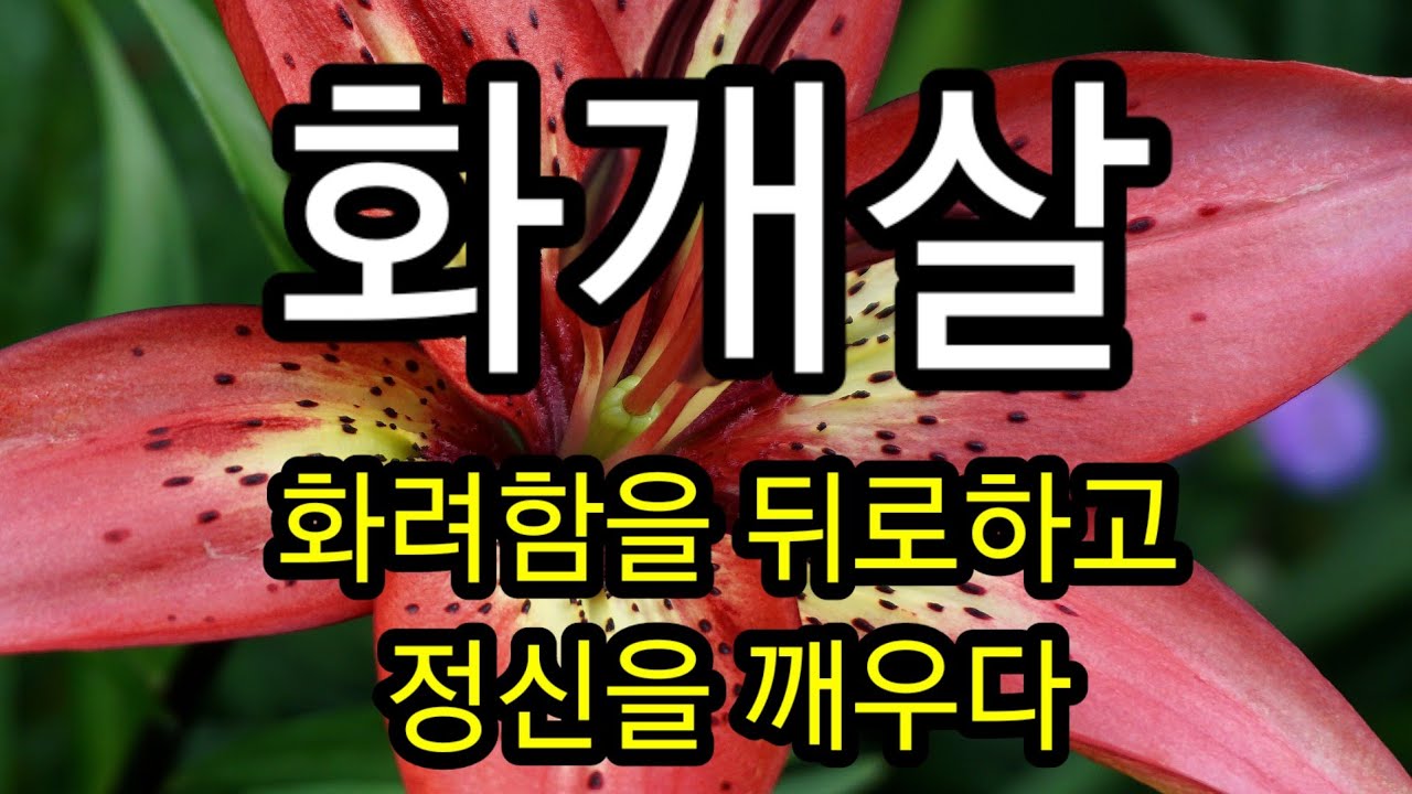 화개살(진술축미)~경험치의 끝판왕, 물질의 묘지요(재고귀인),  정신의  부활이다.