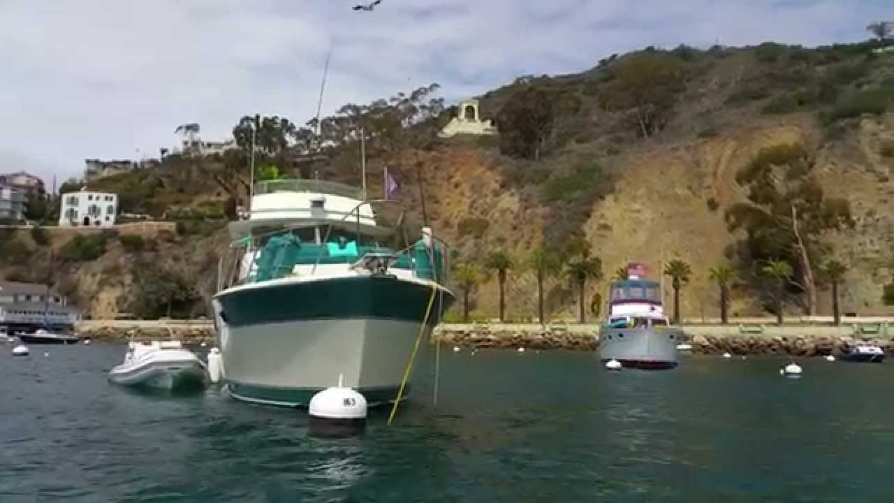 Avalon Harbor in the Morning