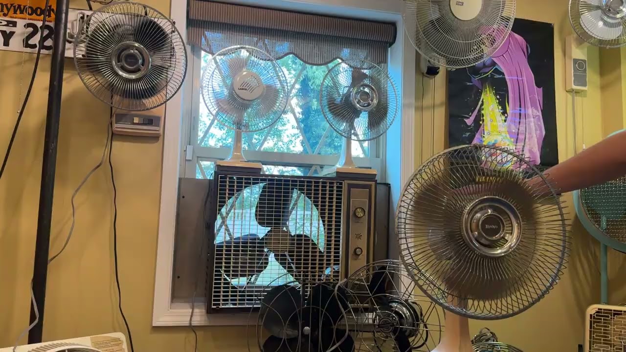 Lasko 12