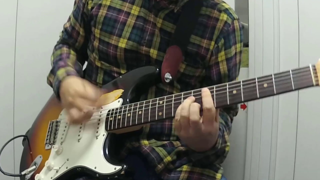 Purple Stain Live at Slane Castle ギター弾いてみたGuitar Cover - Red Hot Chili Peppers Cover