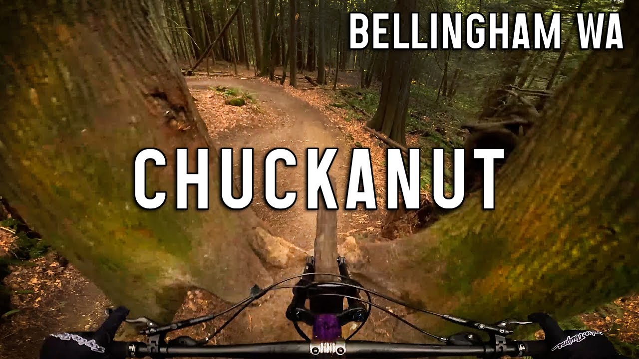 One of Bellingham's Best Tech Descents
