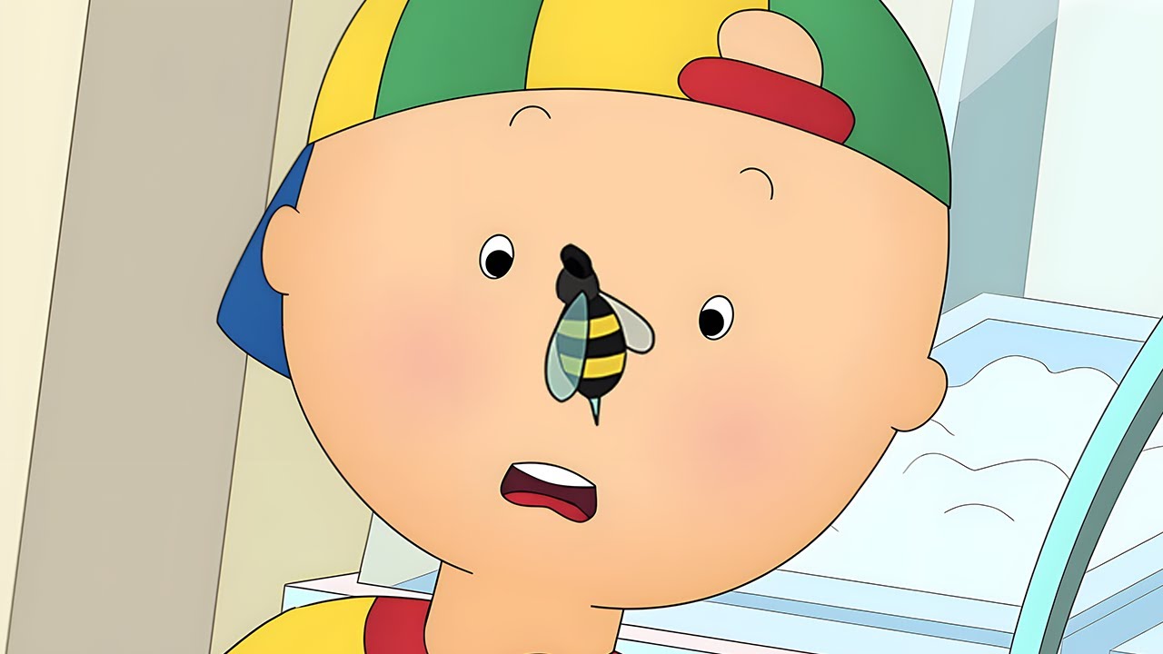 Caillou und die Biene | Die Neuen Abenteuer von Caillou