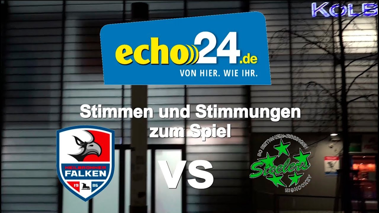 Das war los beim Playoff-Heimspiel der Falken gegen Bietigheim