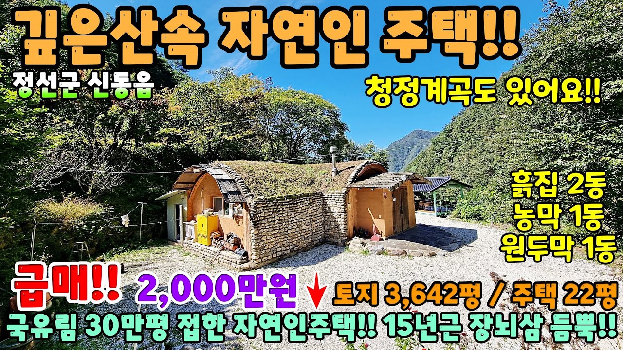 749. 깊은산속 자연인주택!! 국유림 약 30만평과 계곡이 있는 자연인땅!! 정선군 신동읍 단독주택 제천부동산 제천토지매매 전원주택 강원도부동산 정선주택 시골집급매 촌집매매