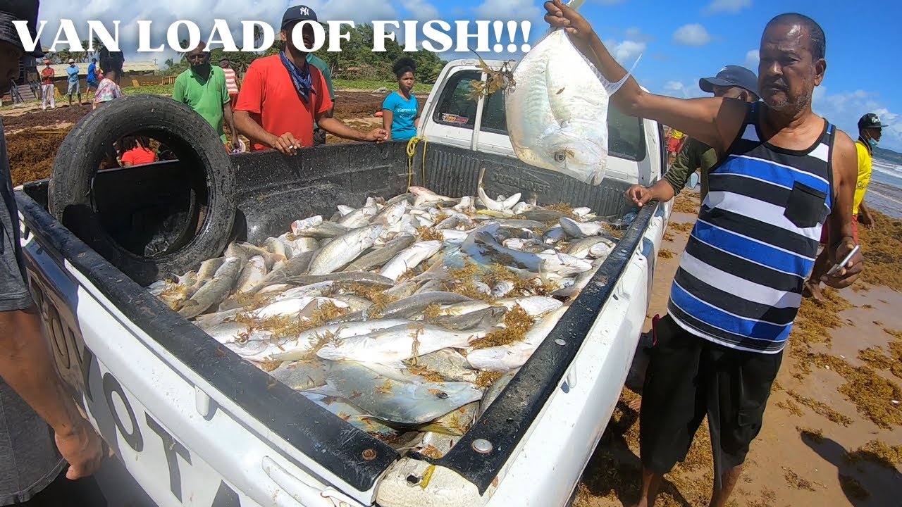 PULLING SEINE ON MAYARO BEACH - Traditional Fishing In Trinidad & Tobago, Caribbean *DRONE FOOTAGE*