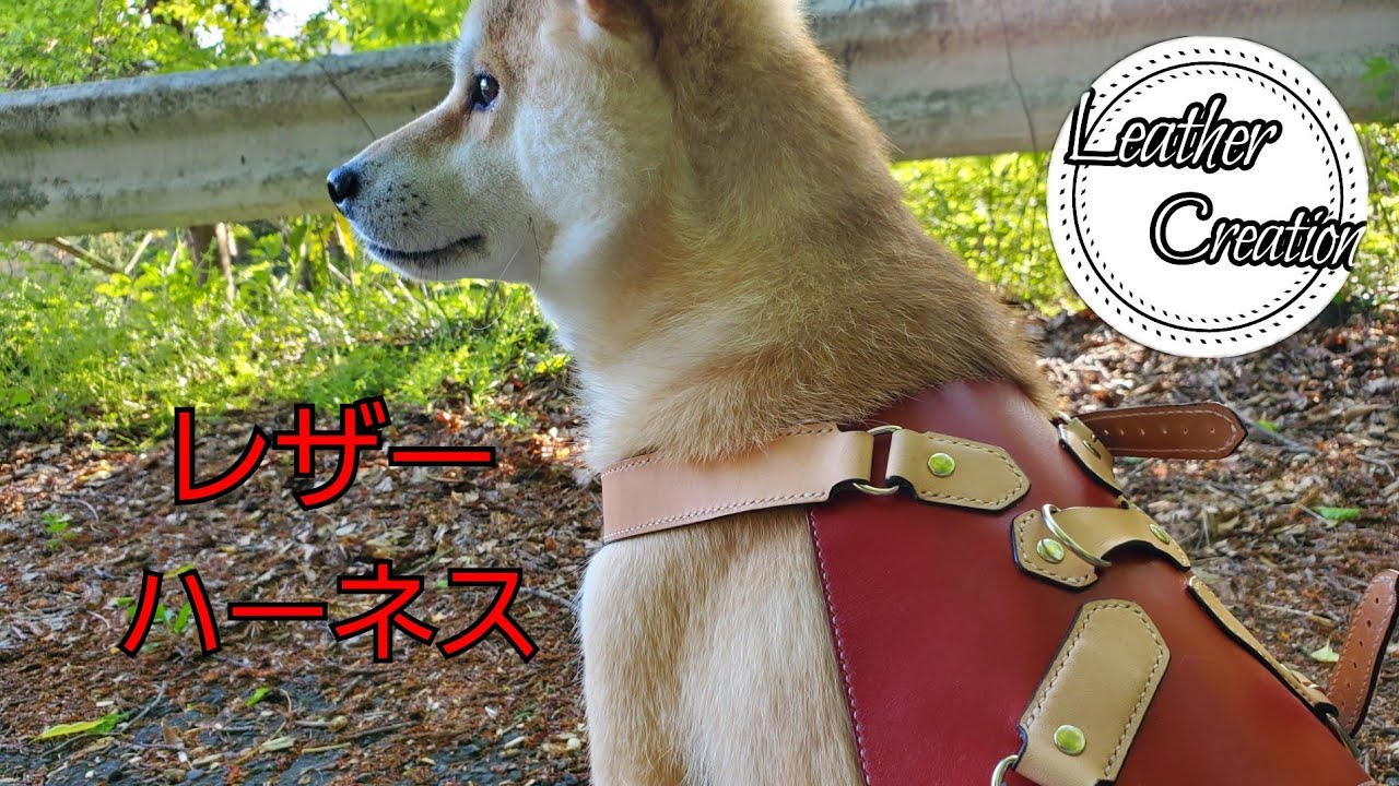 【レザークラフト】柴犬のハーネスを作る。