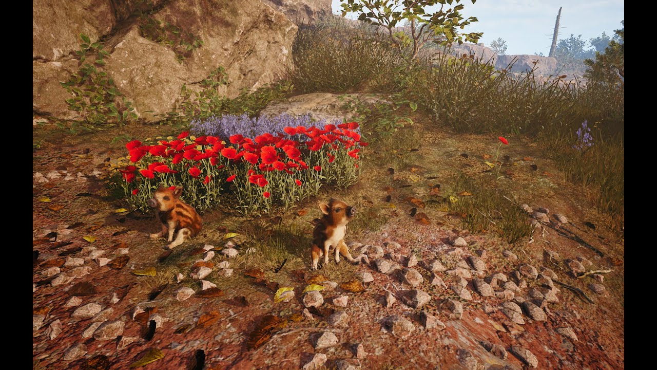 Vi en lille vildsvin (Adorable adventures Demo)