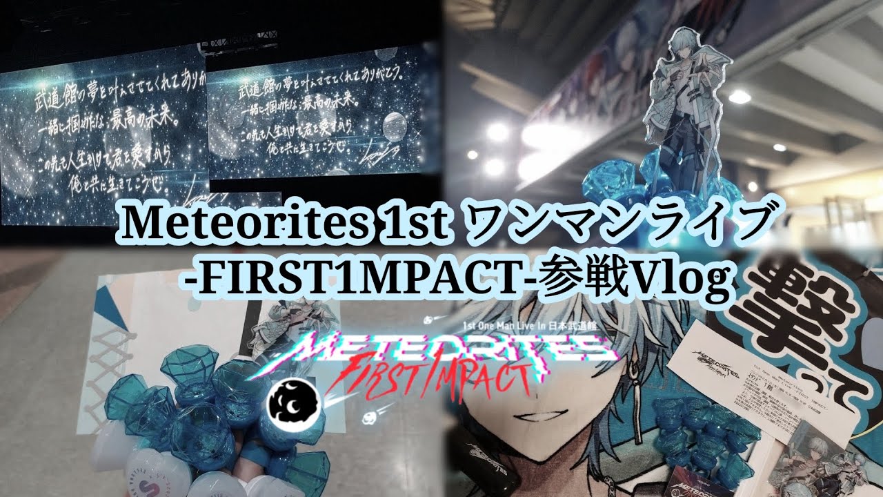 【Vlog】夢を叶える瞬間に立ち会った大切な日　めておら武道館ライブ参戦Vlog