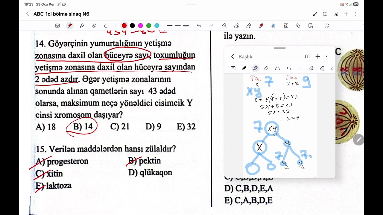 #ABCacademy 1ci bölmə sınaq N6 sual 11-20