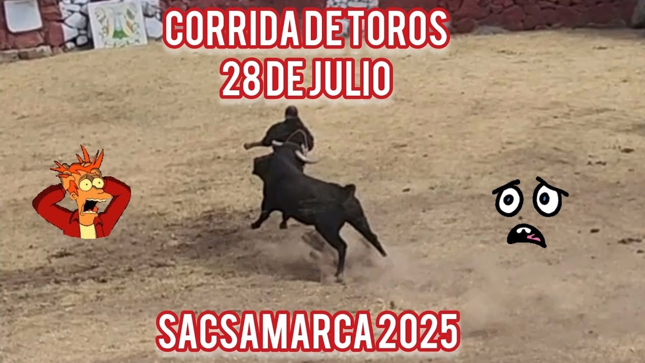 CORRIDA DE TORO  - SACSAMARCA 2025 
