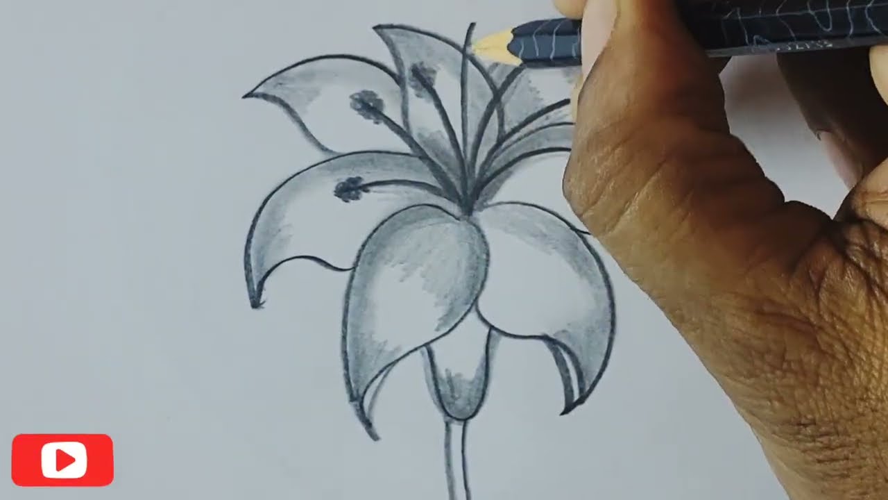 howtodraw easydrawing flowersdrawing design arts beatifull flowersdrawing 