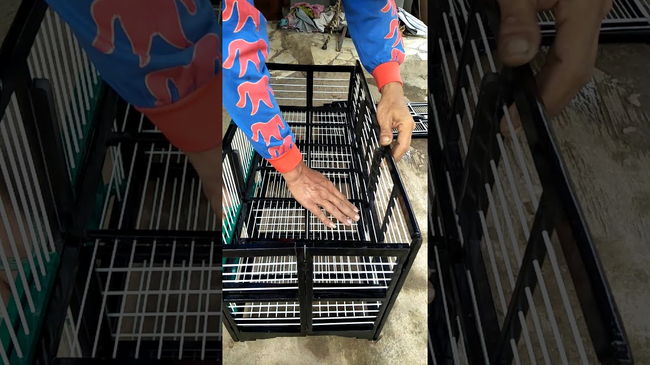 Dongdang Lipat Bongkar Pasang, dongdang merpati