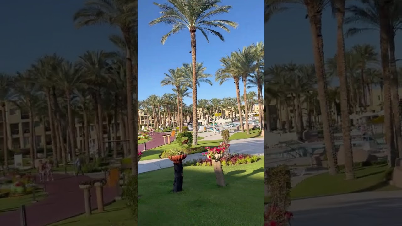 Rixos Premium Seagate — это пятизвёздочный курорт в Шарм-эль-Шейхе 