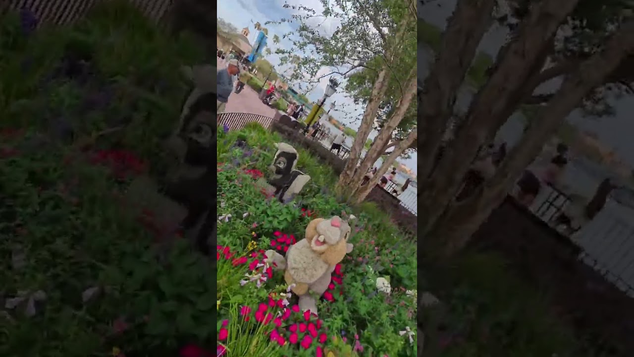 Bambi, Thumper, and Flower are stealing hearts, Disney topiary perfection right here!!  #disney