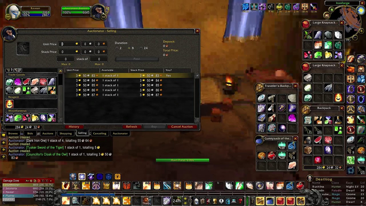 Hardcore classic paladin tank.