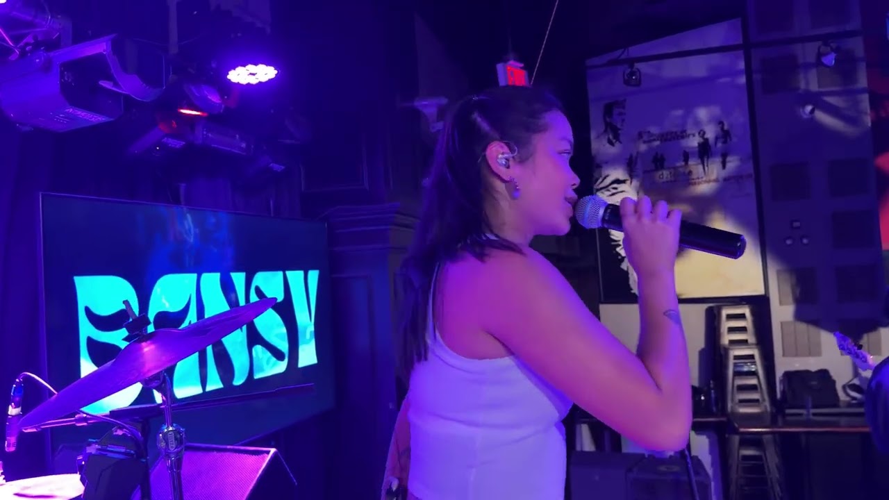 Pink Pony Club - Chappel Roan (BANSY cover)