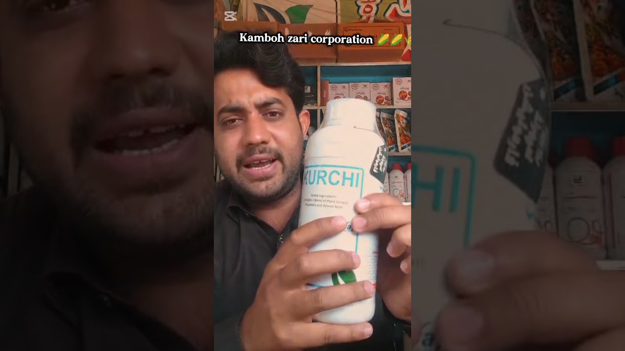 Best Amino Acid for Crops in Pakistan | KURCHI Review