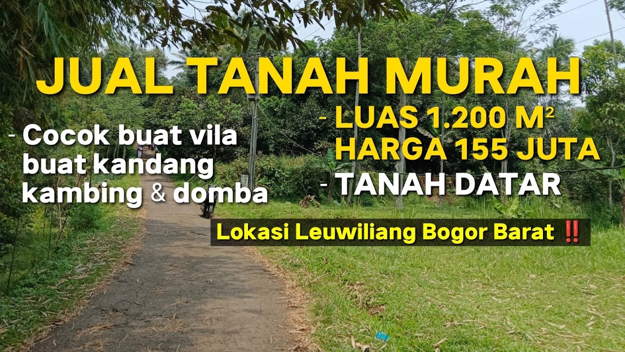 Jual Tanah Datar Bagus || Luas 1.200 m² Harga 155 Juta Lokasi Leuwiliang Bogor || Tlp - 085814799809