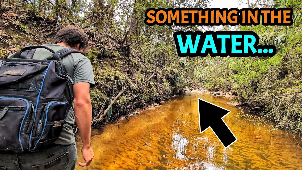 We Found INCREDIBLE Relics in My Favorite Creek... Then We Were FORCED To Leave!