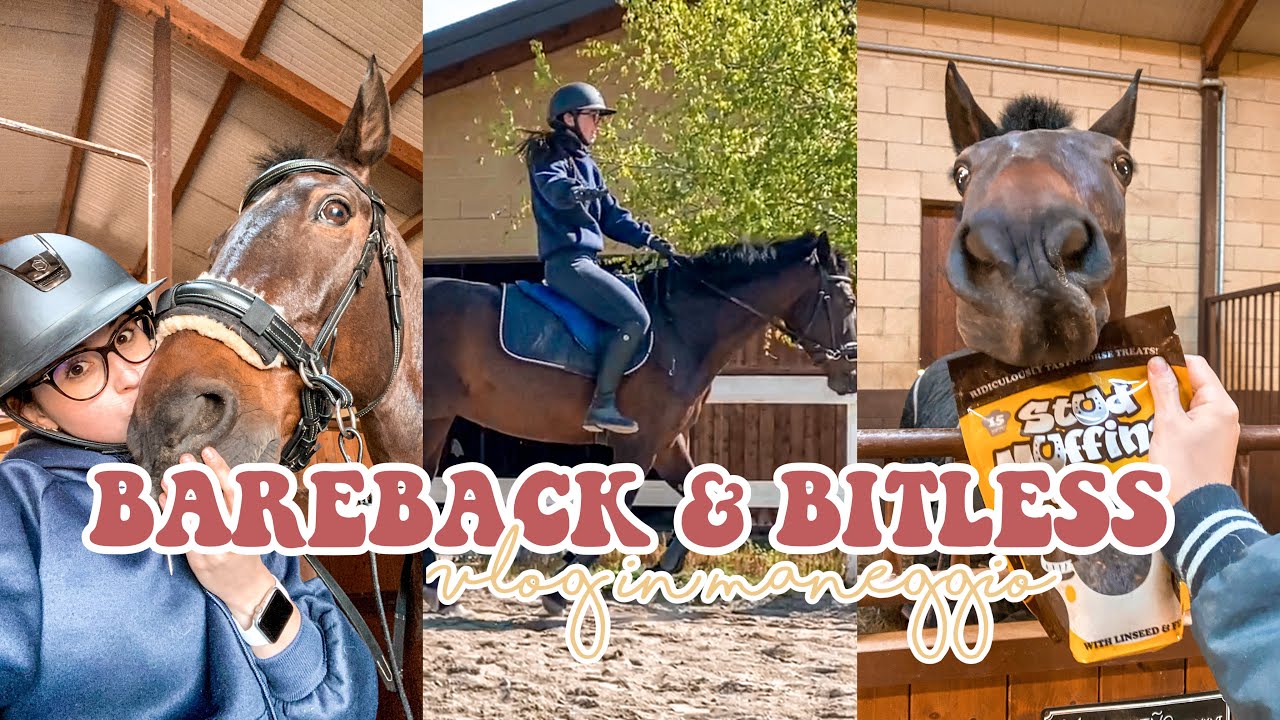 BAREBACK & BITLESS 🤩 Vlog in maneggio 🐴