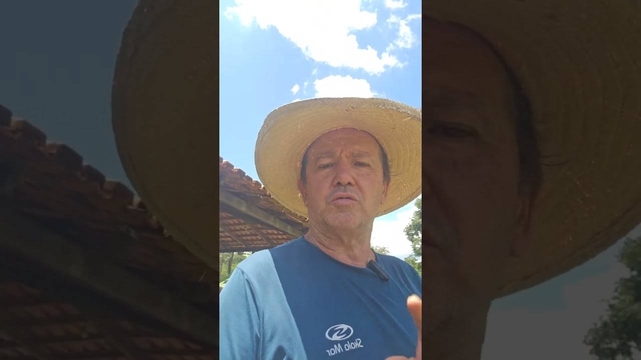 fui fazenda Walter Marques  está ao vivo!